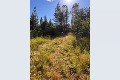 16492 Indiana Ranch Road, Dobbins, CA 95935 - Photo 4