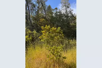 16492 Indiana Ranch Road, Dobbins, CA 95935 - Photo 10