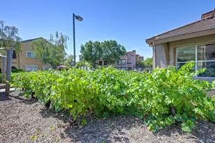 5350 Dunlay Dr, Sacramento, CA 95835 - Photo 70