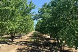 4866 Service Rd, Ceres, CA 95307 - Photo 16