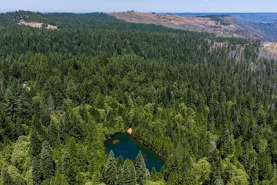 10075 White Fir Road, Georgetown, CA 95634 - Photo 22
