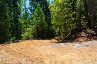 10075 White Fir Road, Georgetown, CA 95634 - Photo 16