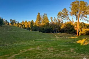 1285 Cosens Ln, Placerville, CA 95667 - Photo 10