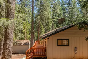 16875 Alpine Dr, Pioneer, CA 95666 - Photo 44