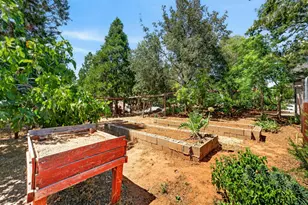 3572 Buena Vista Dr, Shingle Springs, CA 95682 - Photo 50