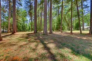 11575 Shockley Rd, Grass Valley, CA 95945 - Photo 78