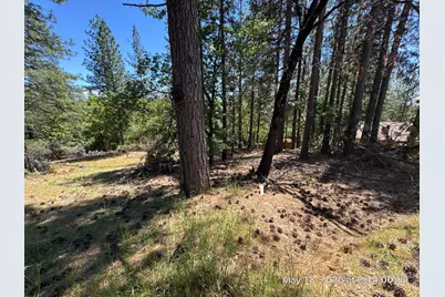 6396 Log Cabin Lane, Placerville, CA 95667 - Photo 30
