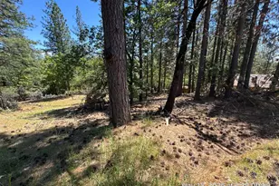 6396 Log Cabin Ln, Placerville, CA 95667 - Photo 30