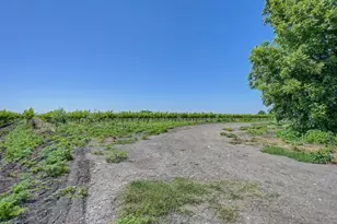 37830 Jefferson Blvd, Clarksburg, CA 95612 - Photo 18