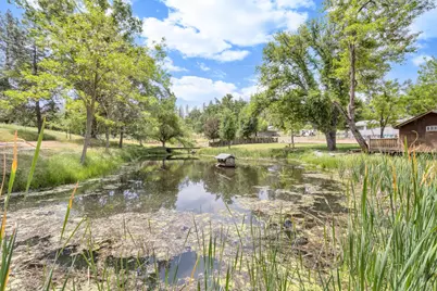 22025 Ferretti Road, Groveland, CA 95321 - Photo 50