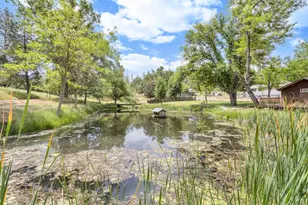 22025 Ferretti Rd, Groveland, CA 95321 - Photo 50