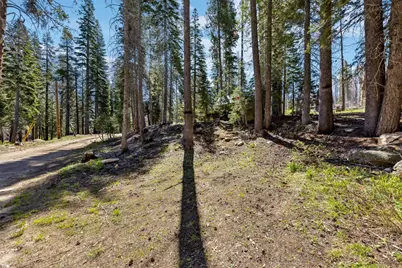 7236 Sayles Canyon Road, Twin Bridges, CA 95735 - Photo 12