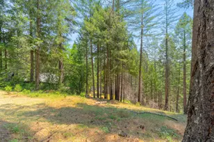 5229 Mary Ct, Pollock Pines, CA 95726 - Photo 62