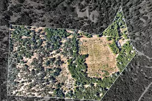 4016 Twin Rdgs Rd, Placerville, CA 95667 - Photo 30