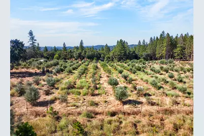 4016 Twin Ridges Road, Placerville, CA 95667 - Photo 52