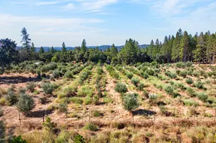 4016 Twin Rdgs Rd, Placerville, CA 95667 - Photo 52