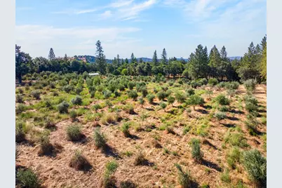 4016 Twin Ridges Road, Placerville, CA 95667 - Photo 62