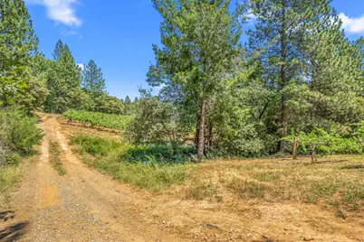0 Greenwood Road, Garden Valley, CA 95633 - Photo 16