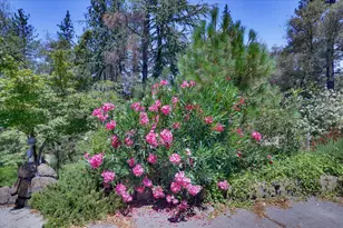 11412 Cottontail Way, Penn Valley, CA 95946 - Photo 42