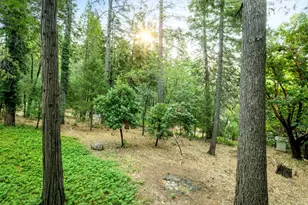 12281 Madrona Way, Nevada City, CA 95959 - Photo 52