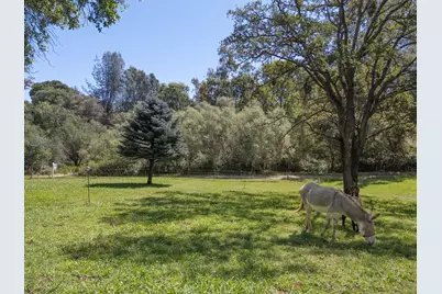 12868 Marcos Lane, Marysville, CA 95901 - Photo 58