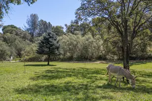 12868 Marcos Ln, Marysville, CA 95901 - Photo 58
