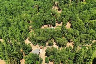 25545 Hwy 49, Sierra City, CA 96125 - Photo 34