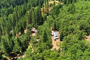 25545 Hwy 49, Sierra City, CA 96125 - Photo 36
