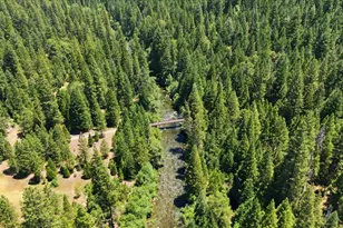 25545 Hwy 49, Sierra City, CA 96125 - Photo 32
