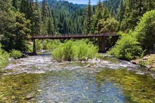 25545 Hwy 49, Sierra City, CA 96125 - Photo 2