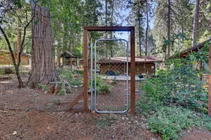 12692 Red Dog, Nevada City, CA 95959 - Photo 42