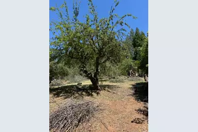1869 Hwy 4, Arnold, CA 95223 - Photo 2