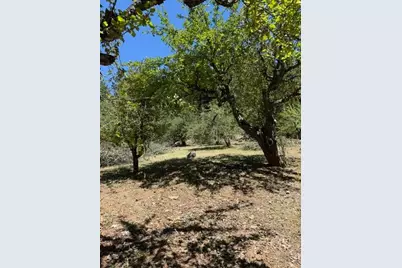 1869 Hwy 4, Arnold, CA 95223 - Photo 4