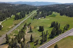 100 Creekside Dr, Bear Valley, CA 95223 - Photo 24
