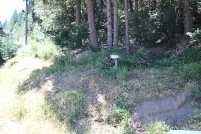 615 Main Street, Downieville, CA 95936 - Photo 2