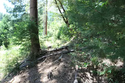 615 Main Street, Downieville, CA 95936 - Photo 8