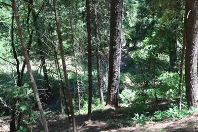 615 Main Street, Downieville, CA 95936 - Photo 16