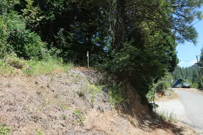 615 Main Street, Downieville, CA 95936 - Photo 4