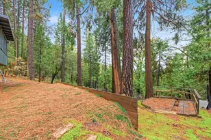 19159 Allan Rd, Volcano, CA 95689 - Photo 24