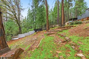 19159 Allan Rd, Volcano, CA 95689 - Photo 26