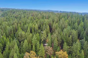 19159 Allan Rd, Volcano, CA 95689 - Photo 22