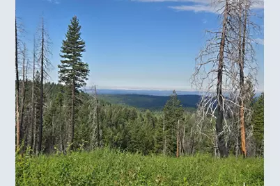 4898 Creekside, Grizzly Flats, CA 95636 - Photo 1