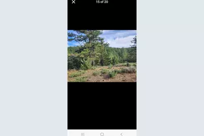 0 Cheney Creek Road, Susanville, CA 96130 - Photo 4