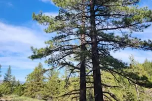 0 Cheney Creek Rd, Susanville, CA 96130 - Photo 1