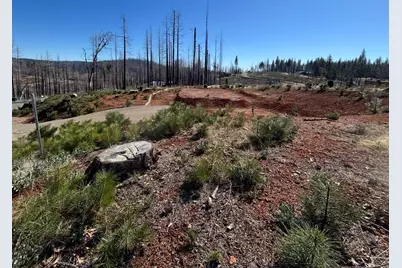 4855 Creekside, Grizzly Flats, CA 95636 - Photo 2