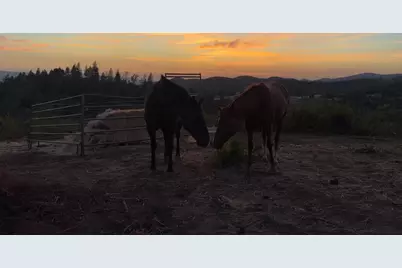 6165 Starlight Lane, Mountain Ranch, CA 95246 - Photo 2