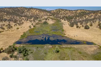 27044 McCourtney, Grass Valley, CA 95949 - Photo 8