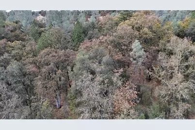 17022 Brewer Road, Grass Valley, CA 95949 - Photo 4