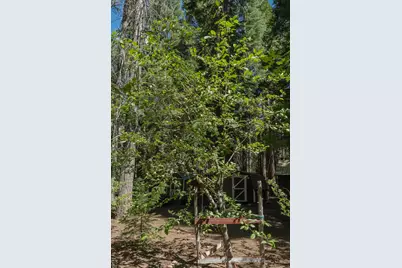 149 Creekside Drive, Camp Connell, CA 95223 - Photo 32