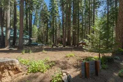 149 Creekside Drive, Camp Connell, CA 95223 - Photo 8